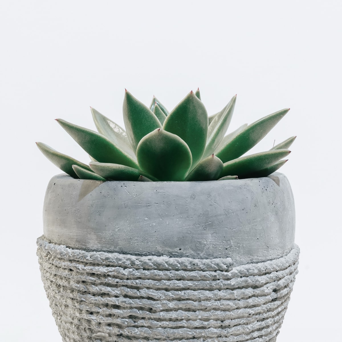 Product 1 - Image 2